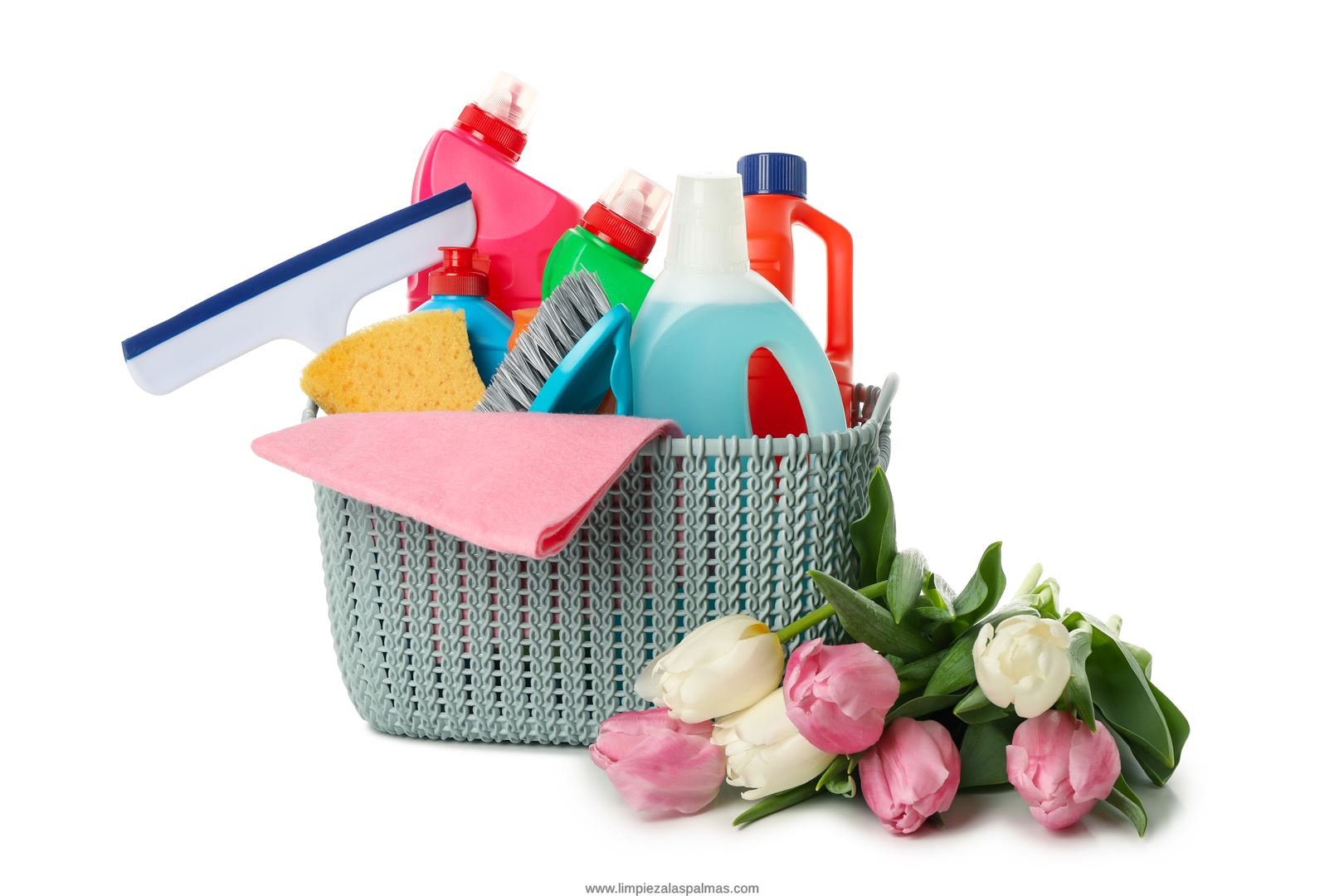 Limpieza Locales Las Palmas