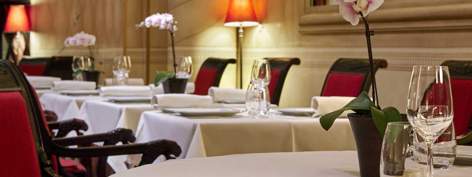 Presupuesto Reforma Las Palmas